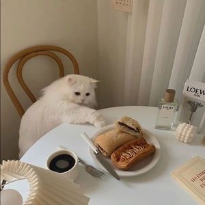 Meet your Posher, Caterina